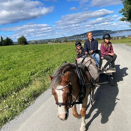 Scenic Small Guesthouse On Horse Farm By The Lake Frösö المظهر الخارجي الصورة