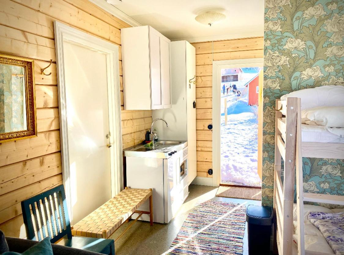 Scenic Small Guesthouse On Horse Farm By The Lake Frösö المظهر الخارجي الصورة