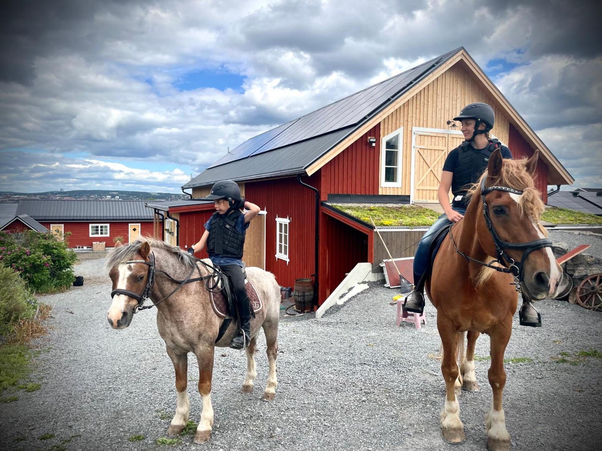 Scenic Small Guesthouse On Horse Farm By The Lake Frösö المظهر الخارجي الصورة