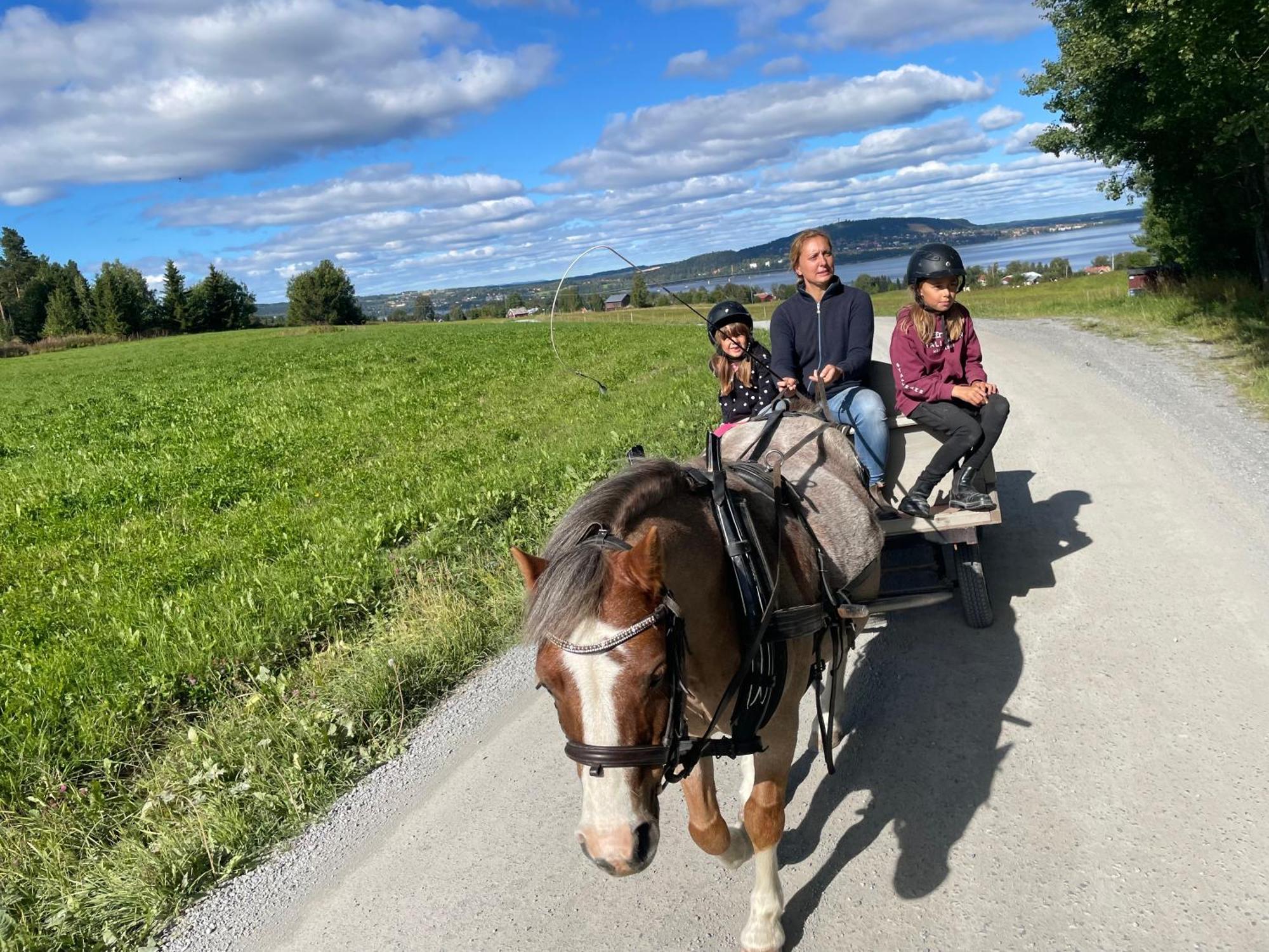 Scenic Small Guesthouse On Horse Farm By The Lake Frösö المظهر الخارجي الصورة