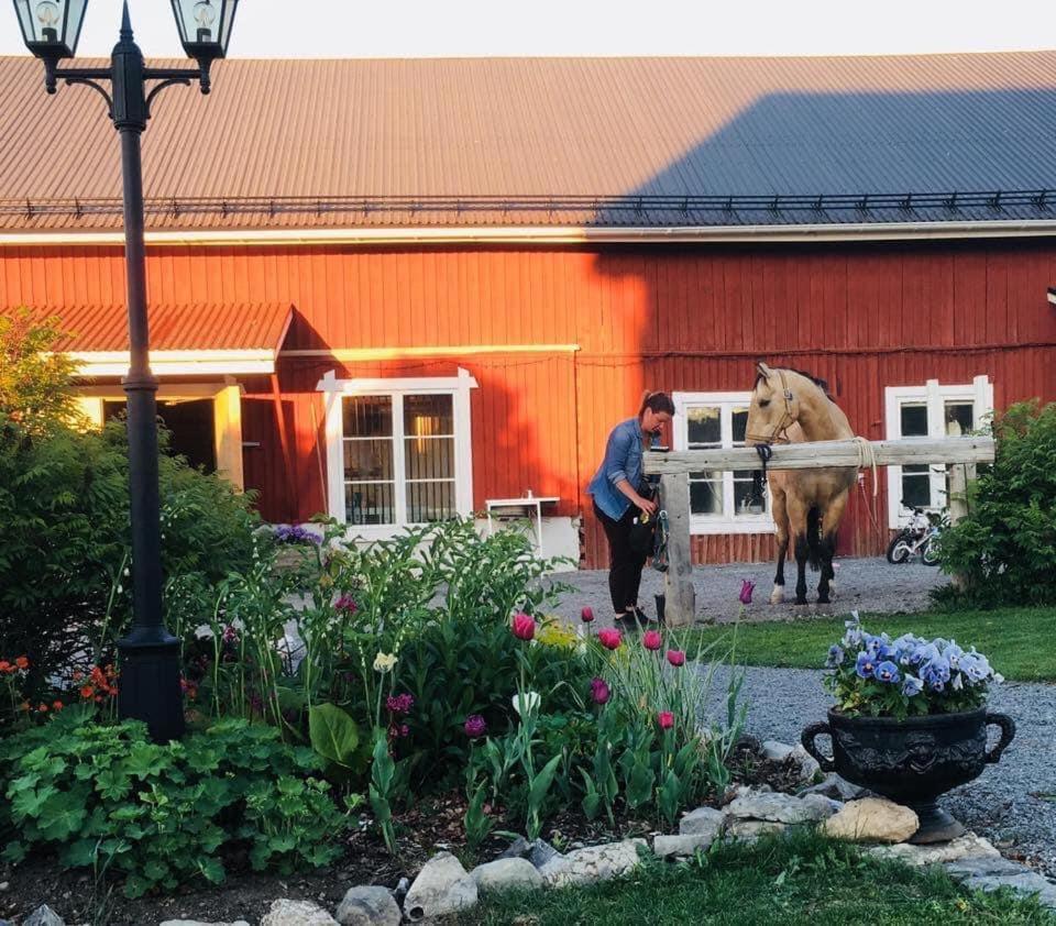 Scenic Small Guesthouse On Horse Farm By The Lake Frösö المظهر الخارجي الصورة