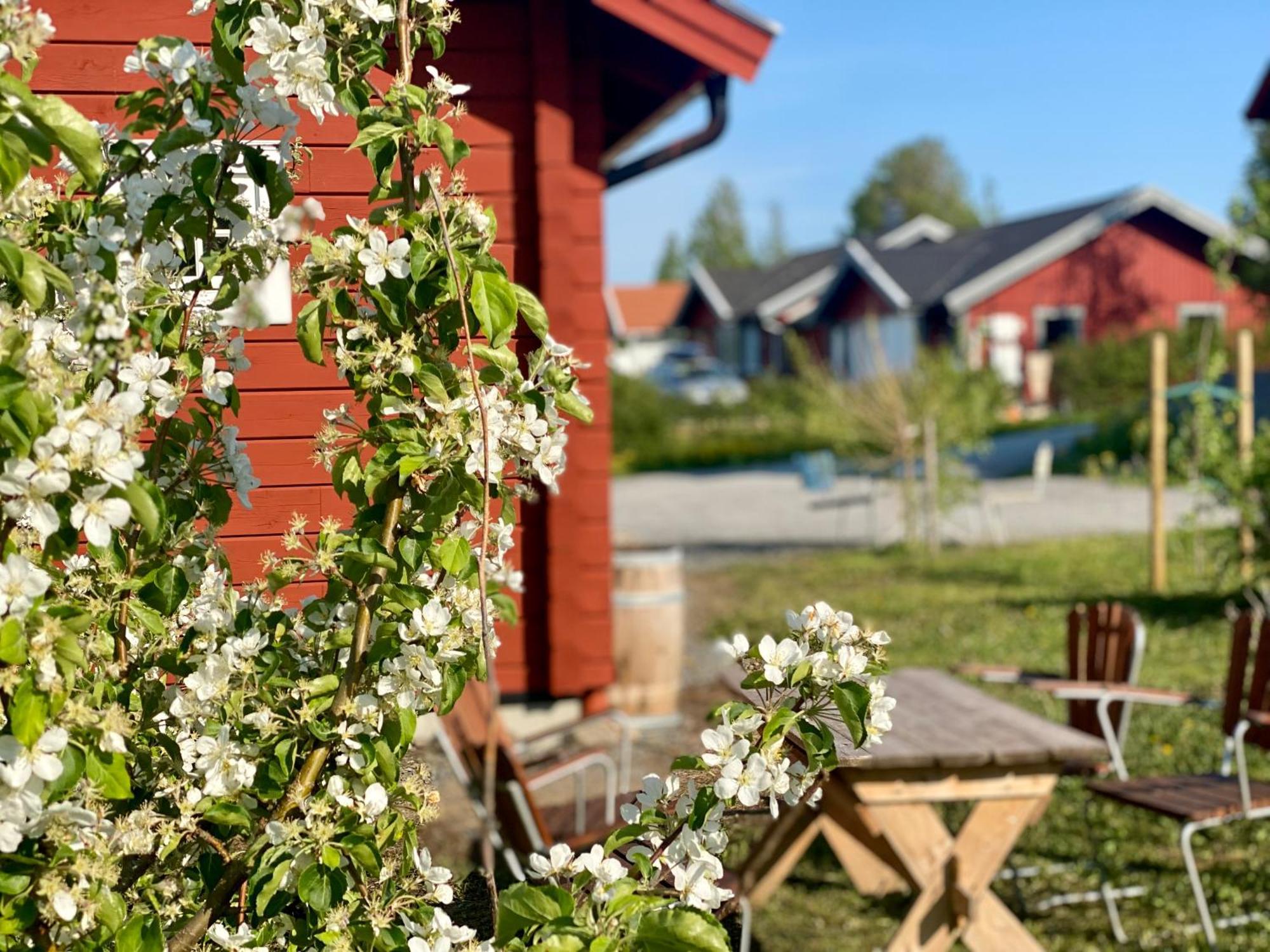 Scenic Small Guesthouse On Horse Farm By The Lake Frösö المظهر الخارجي الصورة