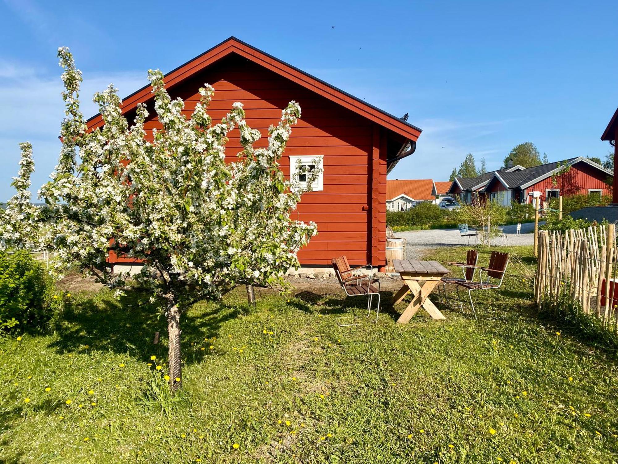 Scenic Small Guesthouse On Horse Farm By The Lake Frösö المظهر الخارجي الصورة